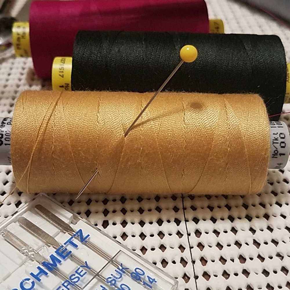 Meet your Posher, Ann